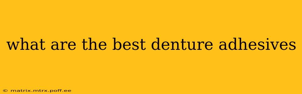 what are the best denture adhesives