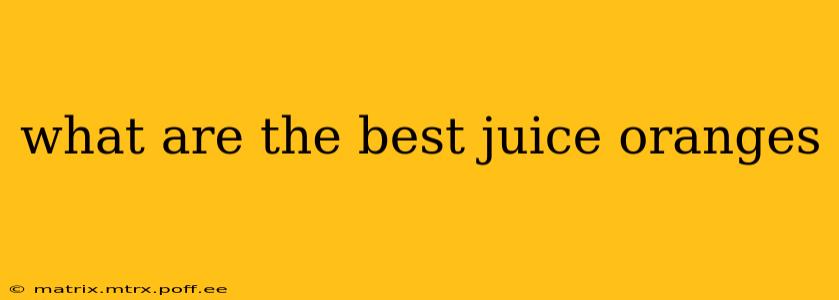 what are the best juice oranges