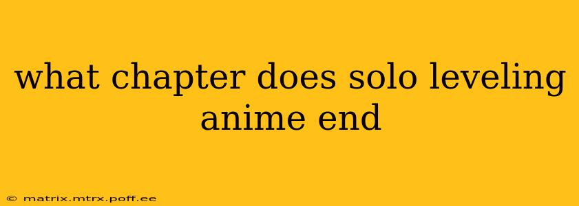 what chapter does solo leveling anime end