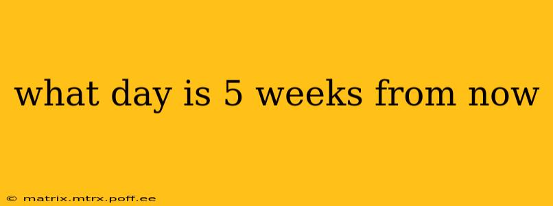 what day is 5 weeks from now