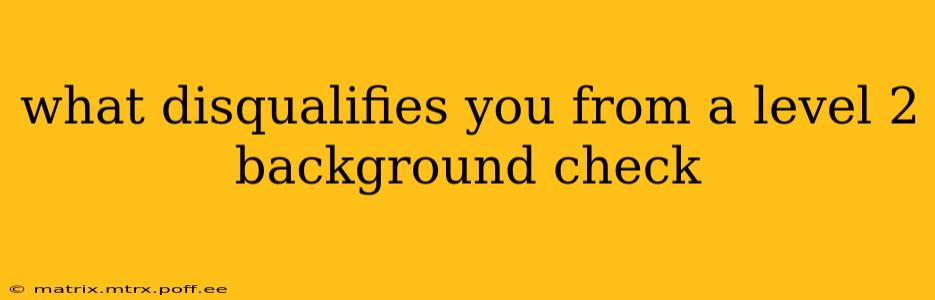what disqualifies you from a level 2 background check