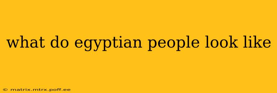 what do egyptian people look like