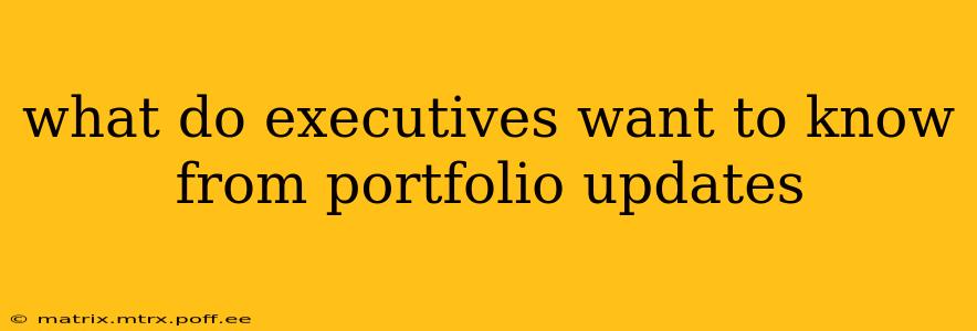what do executives want to know from portfolio updates
