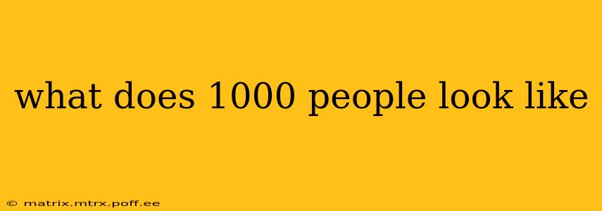 what does 1000 people look like