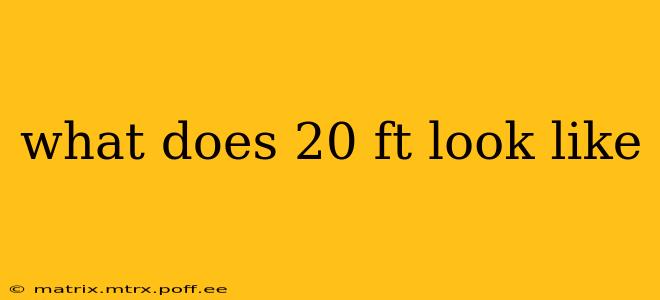 what does 20 ft look like
