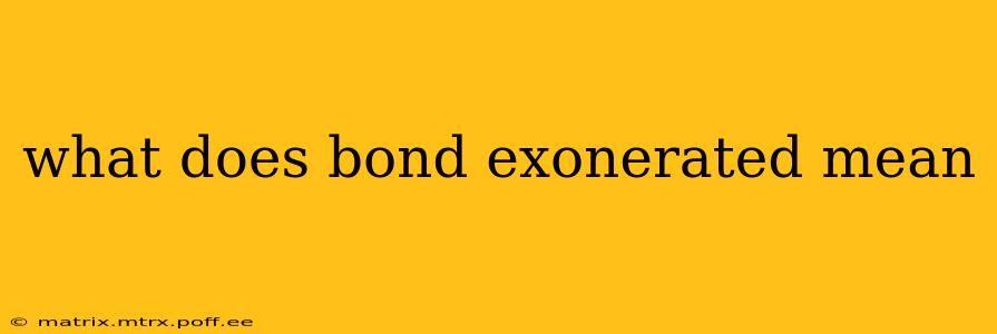 what does bond exonerated mean