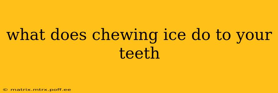 what does chewing ice do to your teeth