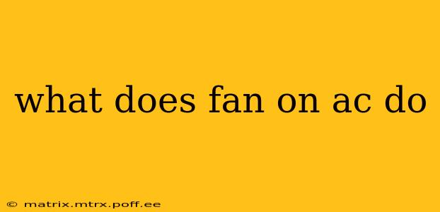 what does fan on ac do