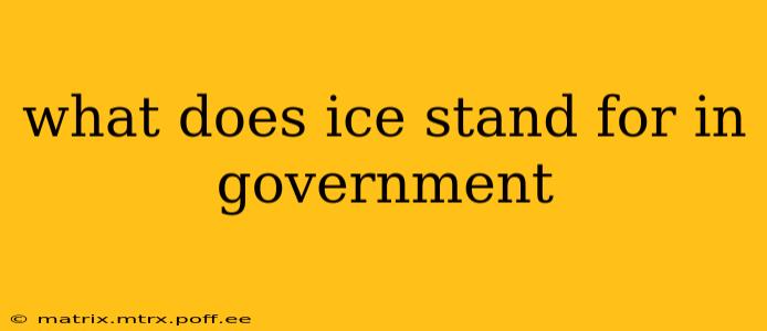 what does ice stand for in government