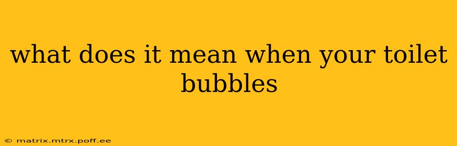 what does it mean when your toilet bubbles