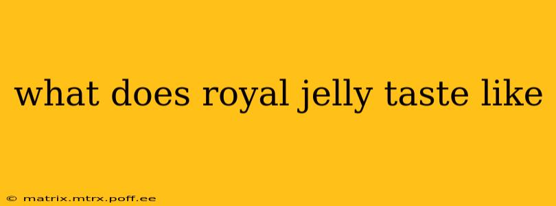 what does royal jelly taste like