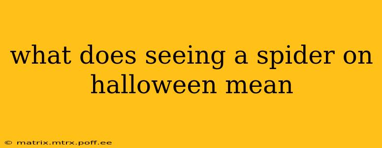 what does seeing a spider on halloween mean
