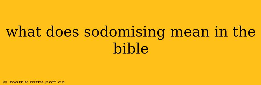 what does sodomising mean in the bible