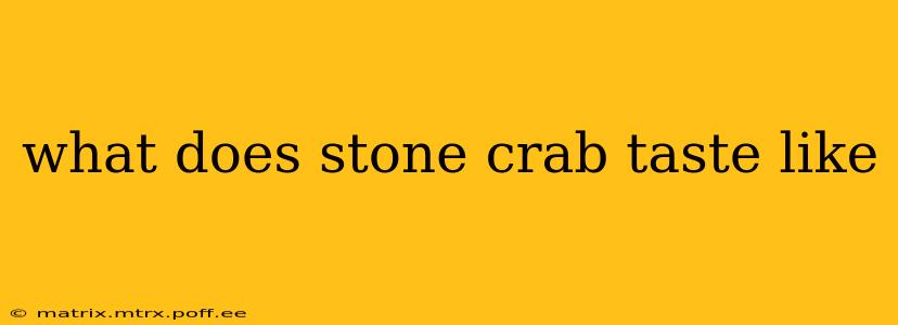 what does stone crab taste like
