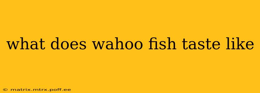 what does wahoo fish taste like