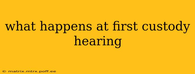 what happens at first custody hearing