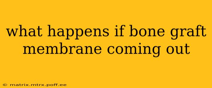 what happens if bone graft membrane coming out