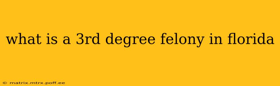 what is a 3rd degree felony in florida