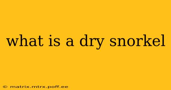 what is a dry snorkel