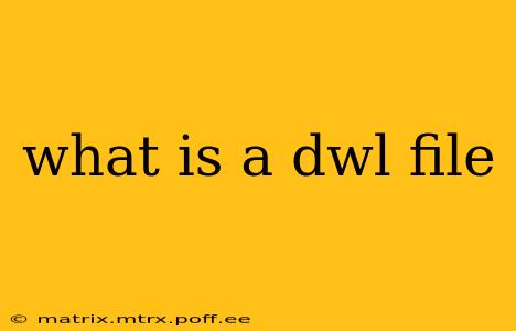 what is a dwl file