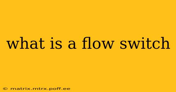 what is a flow switch