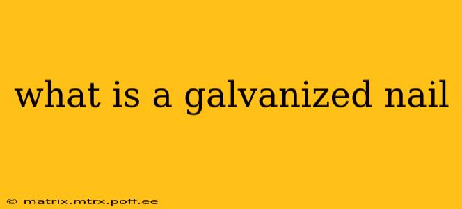 what is a galvanized nail