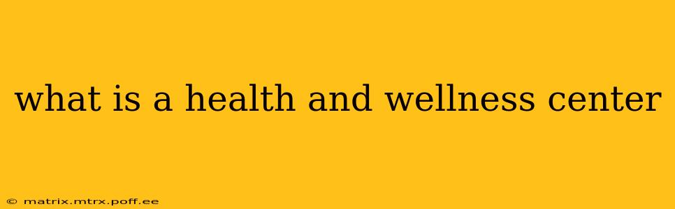 what is a health and wellness center