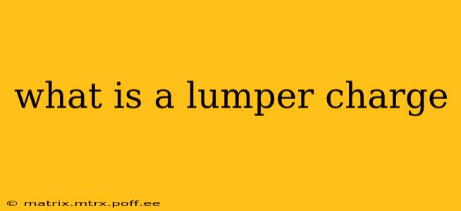 what is a lumper charge