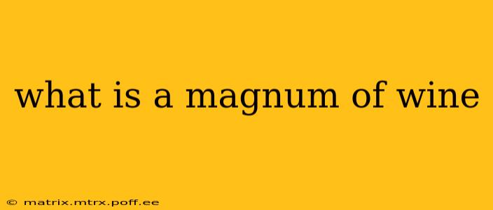 what is a magnum of wine