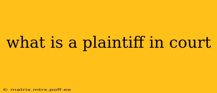 what is a plaintiff in court