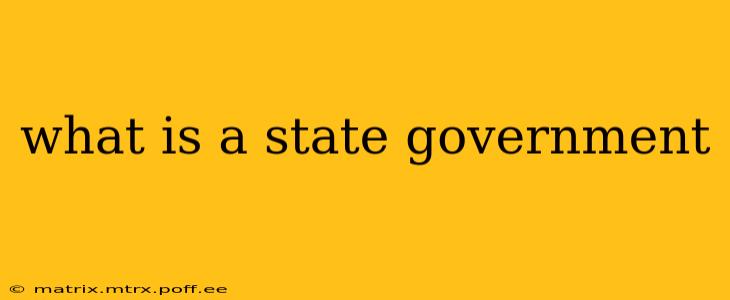 what is a state government