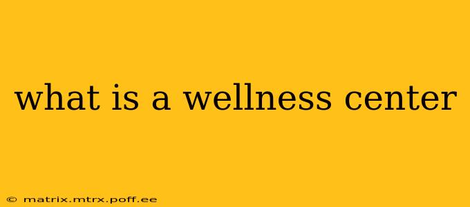 what is a wellness center