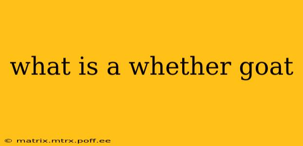 what is a whether goat