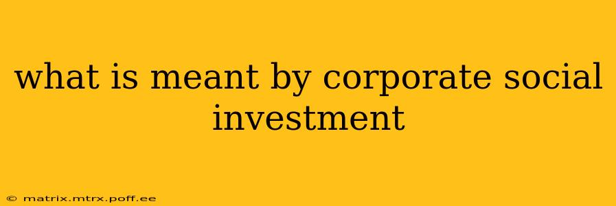 what is meant by corporate social investment