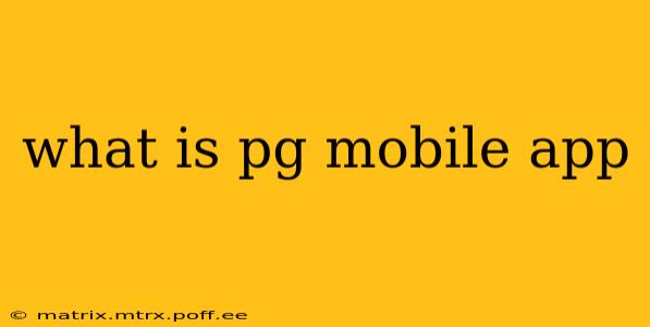 what is pg mobile app
