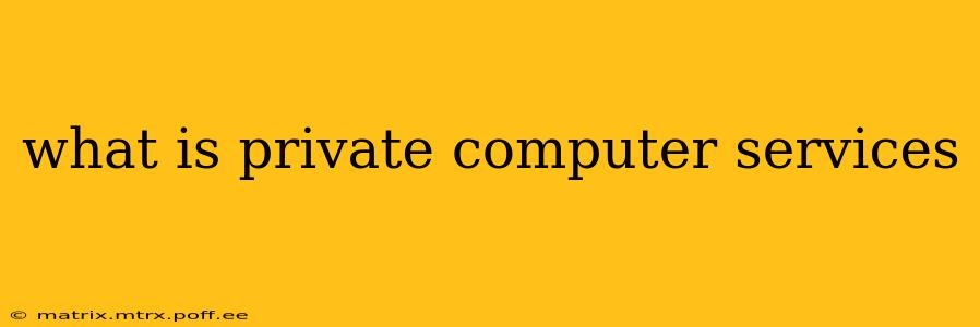 what is private computer services