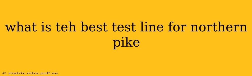 what is teh best test line for northern pike