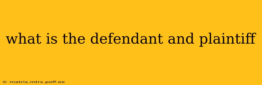 what is the defendant and plaintiff