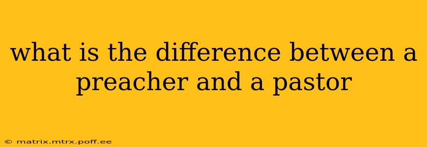 what is the difference between a preacher and a pastor