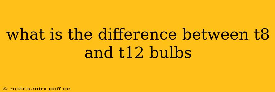 what is the difference between t8 and t12 bulbs