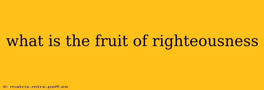 what is the fruit of righteousness