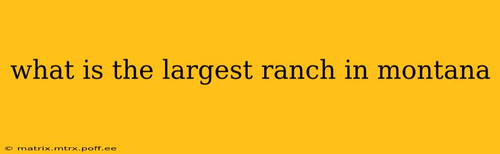 what is the largest ranch in montana