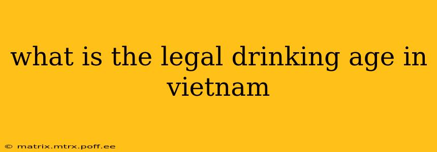 what is the legal drinking age in vietnam