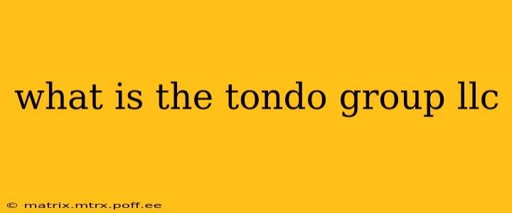 what is the tondo group llc
