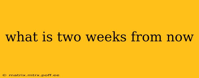 what is two weeks from now