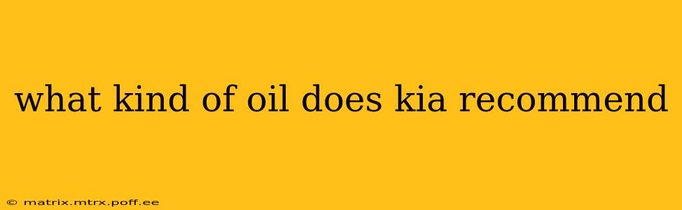 what kind of oil does kia recommend
