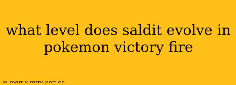what level does saldit evolve in pokemon victory fire