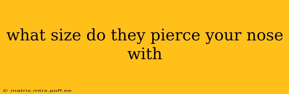 what size do they pierce your nose with