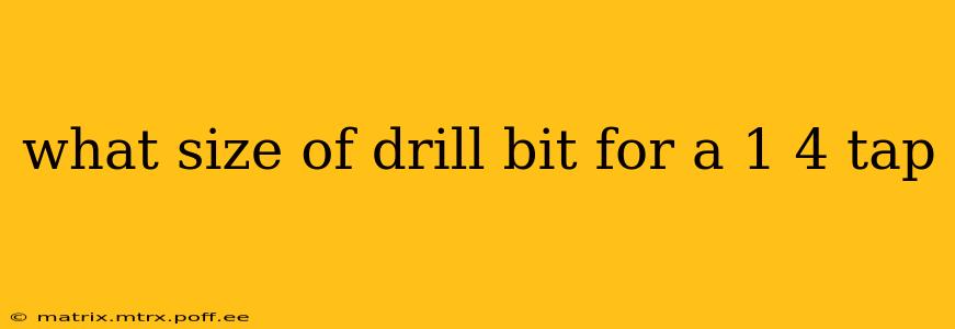 what size of drill bit for a 1 4 tap