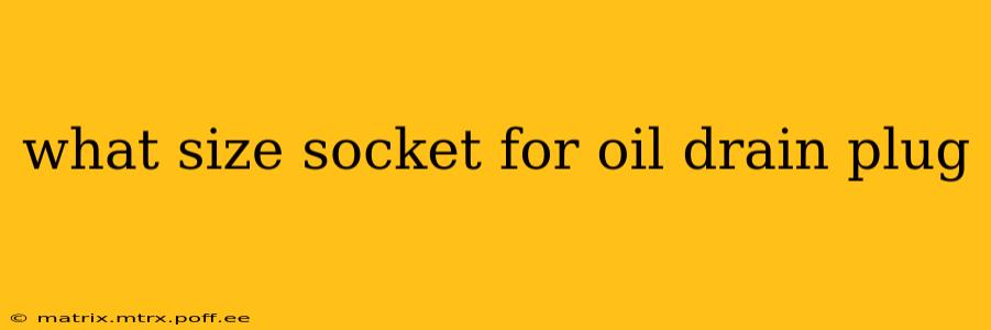 what size socket for oil drain plug